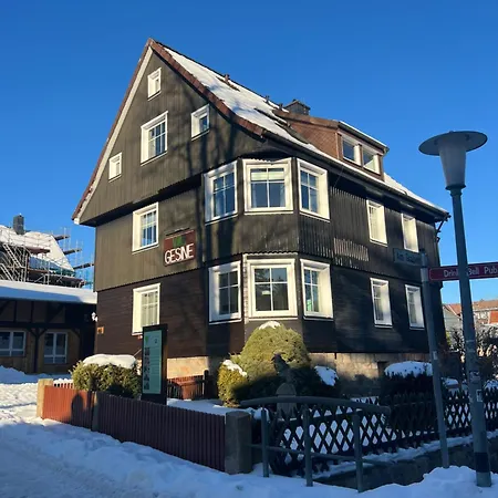 Gesine Apartamento Braunlage