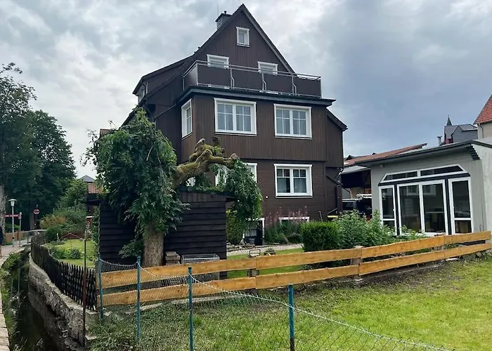 Gesine * Браунлаге