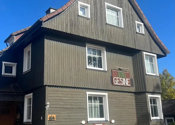 Gesine Браунлаге